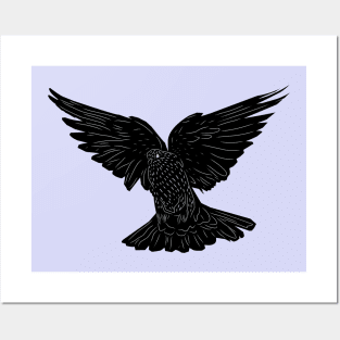 "Dove of Peace in Flight" Posters and Art